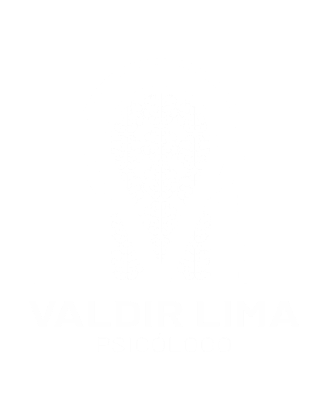 Logo Valdir Lima